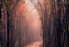 格拉纳达主场进球不败，保持不败纪录