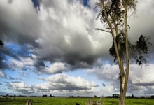 欧洲足球杯赛场上的实力对比