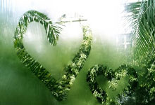 足球盛事再临，赛程激情碰撞如火如荼