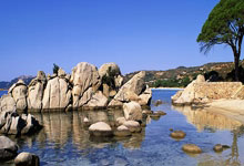 国内足球联赛新季开启，火爆程度不减